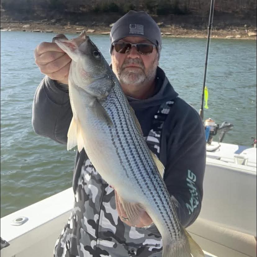 Air Force One Fishing Guide Service business image