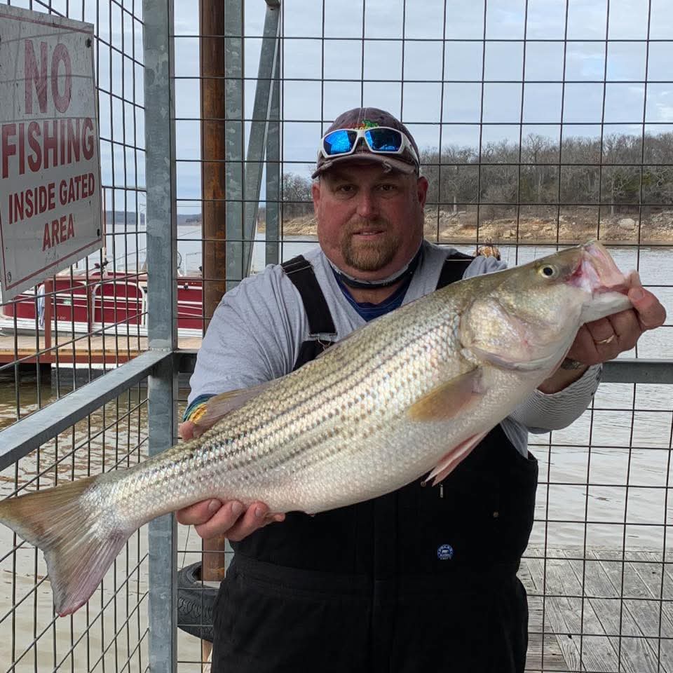 Mojo Striper Guide Service logo