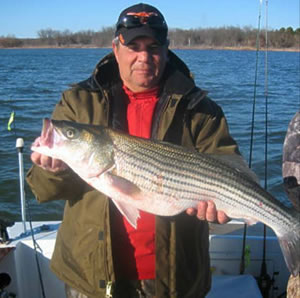Texoma Striper Fishing logo